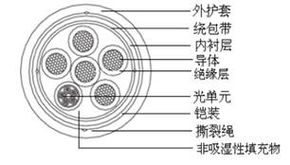 通達(dá)天下，纜動未來 解碼線纜企業(yè)的多元化戰(zhàn)略與創(chuàng)新突破